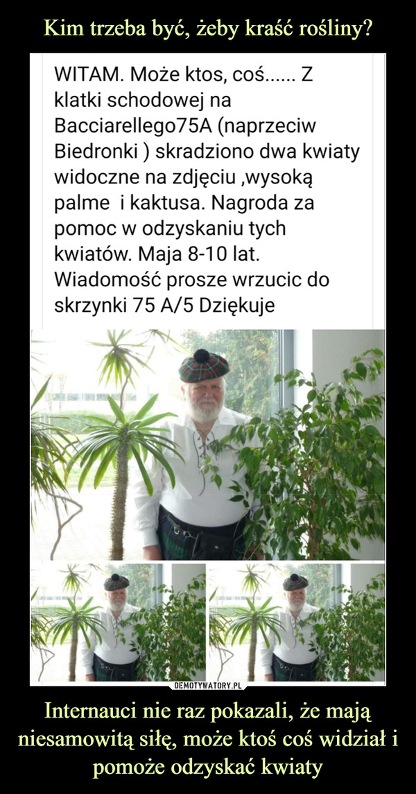 Internauci nie raz pokazali, że mają niesamowitą siłę, może ktoś coś widział i pomoże odzyskać kwiaty –  WITAM. Może ktos, coś... Zklatki schodowej naBacciarellego75A (naprzeciwBiedronki ) skradziono dwa kwiatywidoczne na zdjęciu ,wysokąpalme i kaktusa. Nagroda zapomoc w odzyskaniu tychkwiatów. Maja 8-10 lat.Wiadomość prosze wrzucic doskrzynki 75 A/5 Dziękuje