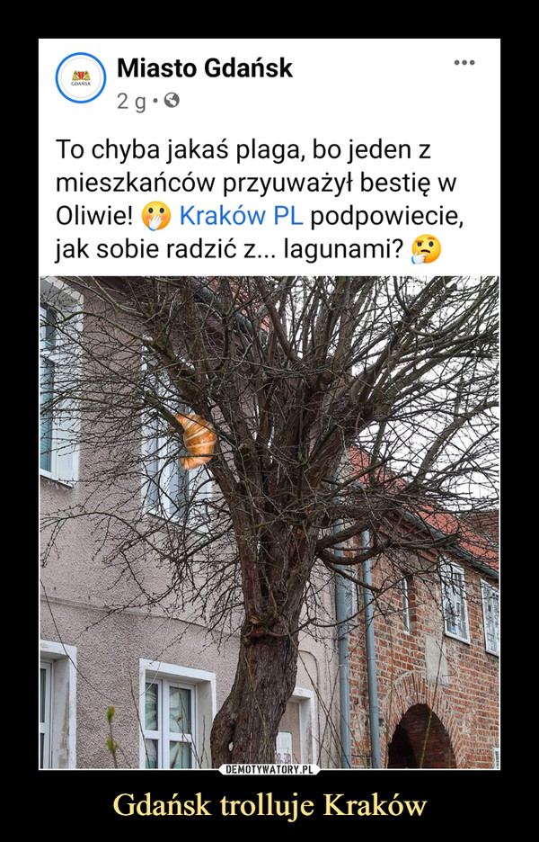 Gdańsk trolluje Kraków –  
