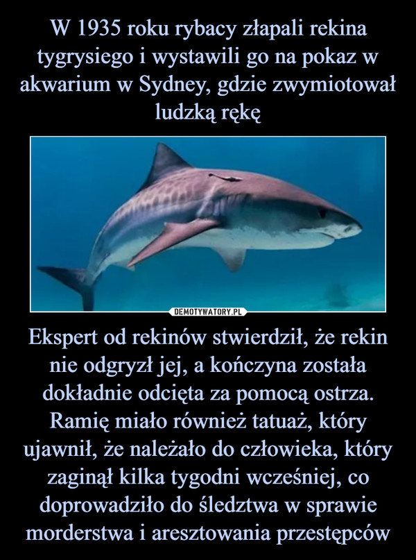 Ekspert od rekinów stwierdził, że rekin nie odgryzł jej, a kończyna została dokładnie odcięta za pomocą ostrza. Ramię miało również tatuaż, który ujawnił, że należało do człowieka, który zaginął kilka tygodni wcześniej, co doprowadziło do śledztwa w sprawie morderstwa i aresztowania przestępców –  