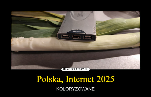 Polska, Internet 2025