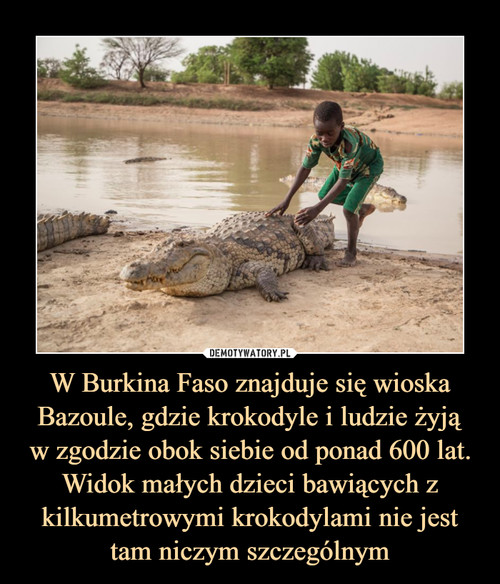 W Burkina Faso znajduje się wioska Bazoule, gdzie krokodyle i ludzie żyją
w zgodzie obok siebie od ponad 600 lat. Widok małych dzieci bawiących z kilkumetrowymi krokodylami nie jest tam niczym szczególnym