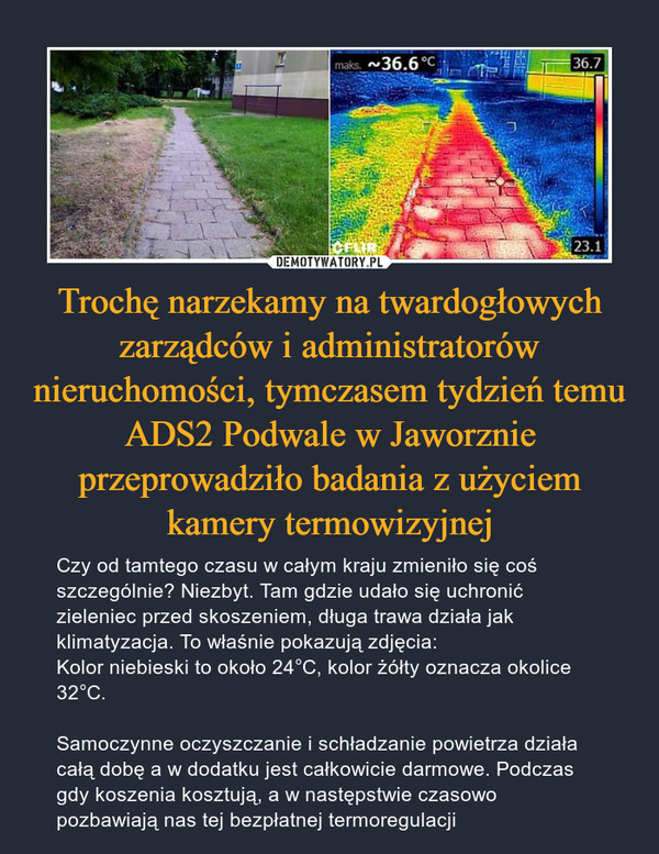 Trochę narzekamy na twardogłowych zarządców i administratorów nieruchomości, tymczasem tydzień temu ADS2 Podwale w Jaworznie przeprowadziło badania z użyciem kamery termowizyjnej – Czy od tamtego czasu w całym kraju zmieniło się coś szczególnie? Niezbyt. Tam gdzie udało się uchronić zieleniec przed skoszeniem, długa trawa działa jak klimatyzacja. To właśnie pokazują zdjęcia:Kolor niebieski to około 24°C, kolor żółty oznacza okolice 32°C.Samoczynne oczyszczanie i schładzanie powietrza działa całą dobę a w dodatku jest całkowicie darmowe. Podczas gdy koszenia kosztują, a w następstwie czasowo pozbawiają nas tej bezpłatnej termoregulacji 