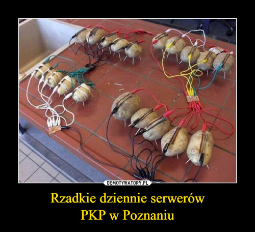 Rzadkie dziennie serwerów
PKP w Poznaniu