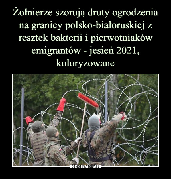 Żołnierze szorują druty ogrodzenia na granicy polsko-białoruskiej z resztek bakterii i pierwotniaków emigrantów - jesień 2021, koloryzowane