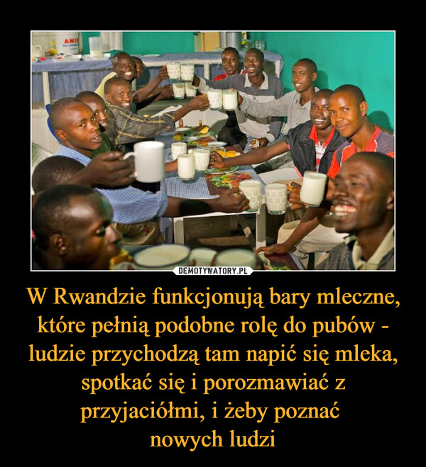 W Rwandzie funkcjonują bary mleczne, które pełnią podobne rolę do pubów - ludzie przychodzą tam napić się mleka, spotkać się i porozmawiać z przyjaciółmi, i żeby poznać 
nowych ludzi