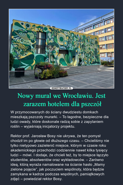 Nowy mural we Wrocławiu. Jest
 zarazem hotelem dla pszczół