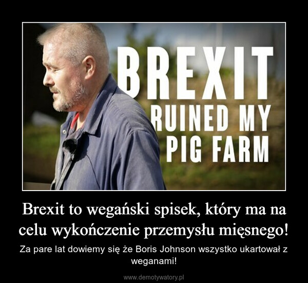 Brexit to wegański spisek, który ma na celu wykończenie przemysłu mięsnego! – Za pare lat dowiemy się że Boris Johnson wszystko ukartował z weganami! 