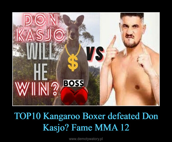 TOP10 Kangaroo Boxer defeated Don Kasjo? Fame MMA 12 –  
