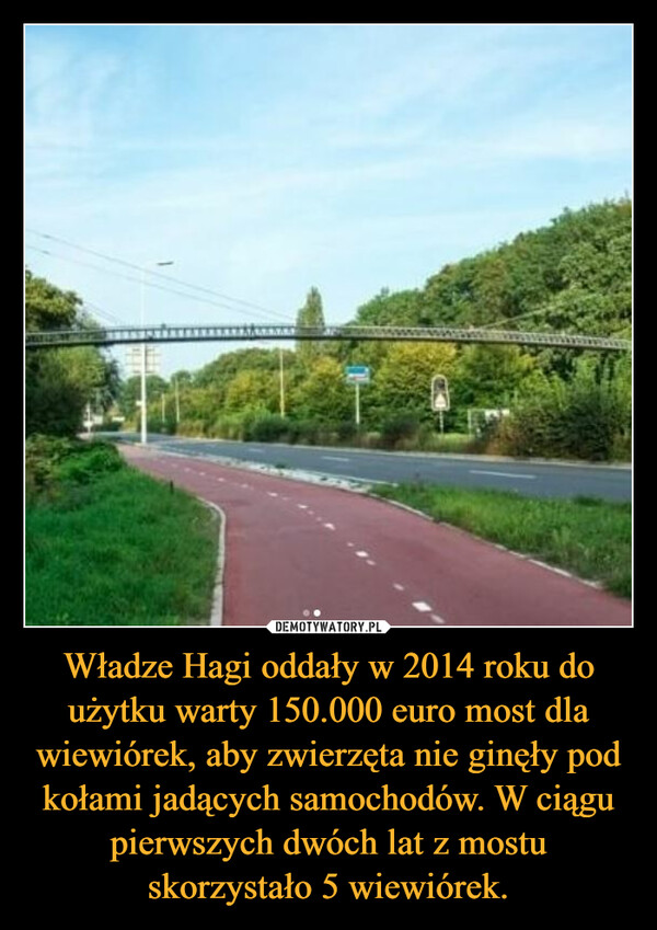 Władze Hagi oddały w 2014 roku do użytku warty 150.000 euro most dla wiewiórek, aby zwierzęta nie ginęły pod kołami jadących samochodów. W ciągu pierwszych dwóch lat z mostu skorzystało 5 wiewiórek. –  