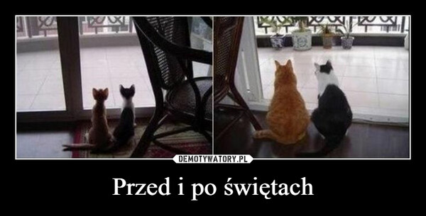 Przed i po świętach