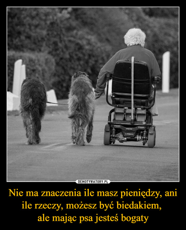 Nie ma znaczenia ile masz pieniędzy, ani ile rzeczy, możesz być biedakiem, ale mając psa jesteś bogaty –  