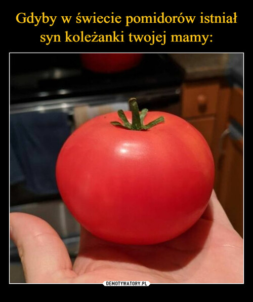 Gdyby w świecie pomidorów istniał syn koleżanki twojej mamy: