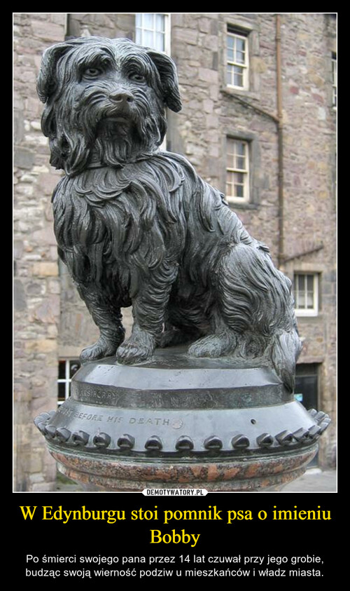 W Edynburgu stoi pomnik psa o imieniu Bobby
