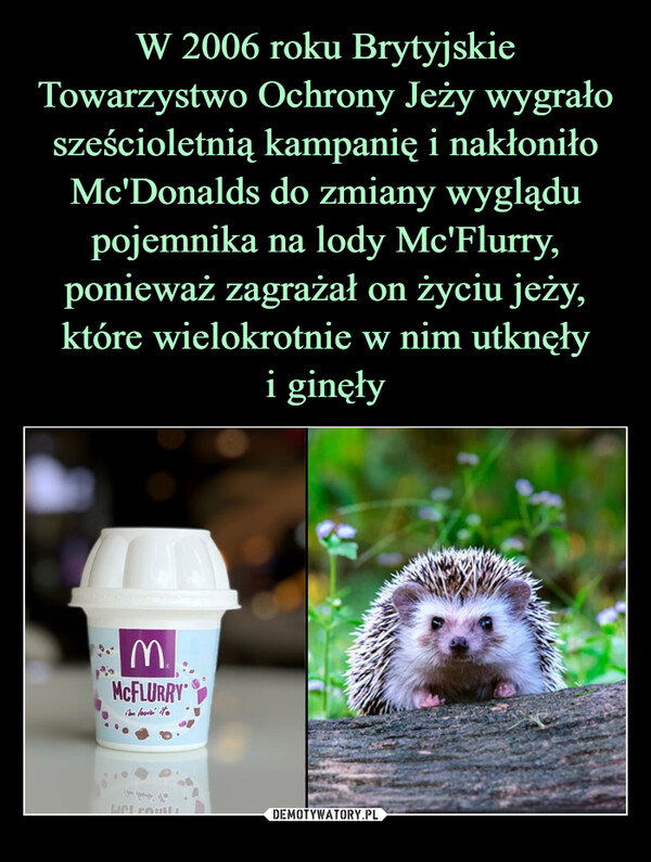  –  Mc'Flurry