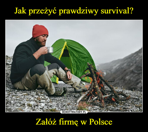 Jak przeżyć prawdziwy survival? Załóż firmę w Polsce