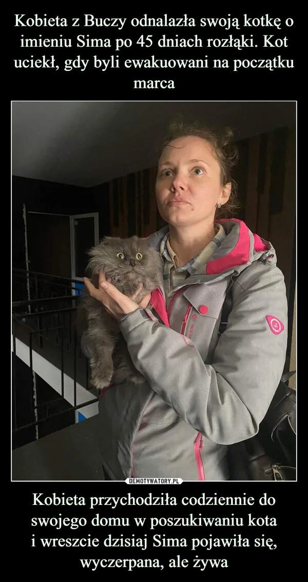 Kobieta z Buczy odnalazła swoją kotkę o imieniu Sima po 45 dniach rozłąki. Kot uciekł, gdy byli ewakuowani na początku marca Kobieta przychodziła codziennie do swojego domu w poszukiwaniu kota
i wreszcie dzisiaj Sima pojawiła się, wyczerpana, ale żywa