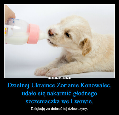 Dzielnej Ukraince Zorianie Konowalec, udało się nakarmić głodnego szczeniaczka we Lwowie.