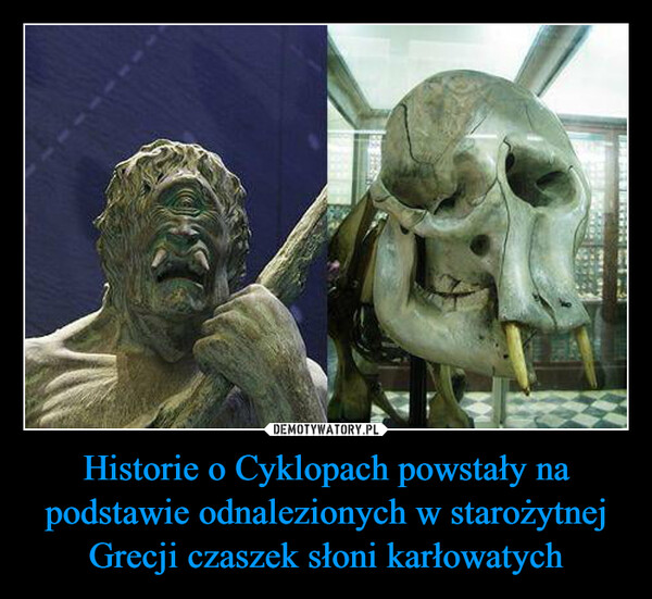 Historie o Cyklopach powstały na podstawie odnalezionych w starożytnej Grecji czaszek słoni karłowatych –  
