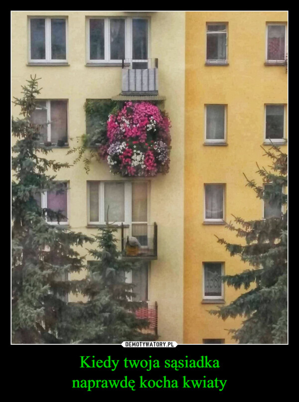 Kiedy twoja sąsiadkanaprawdę kocha kwiaty –  