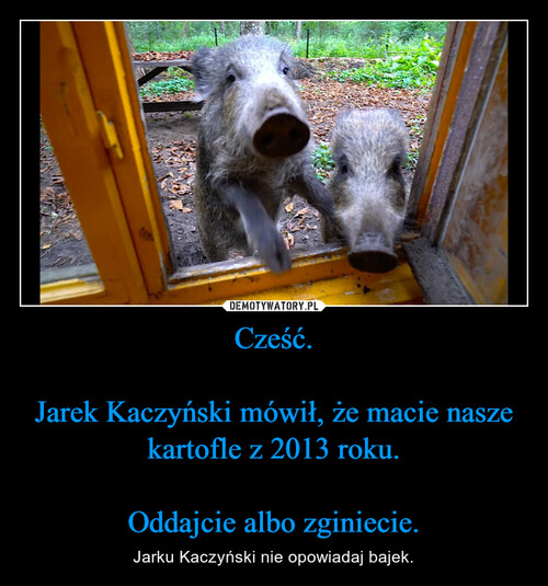 Cześć.

Jarek Kaczyński mówił, że macie nasze kartofle z 2013 roku.

Oddajcie albo zginiecie.