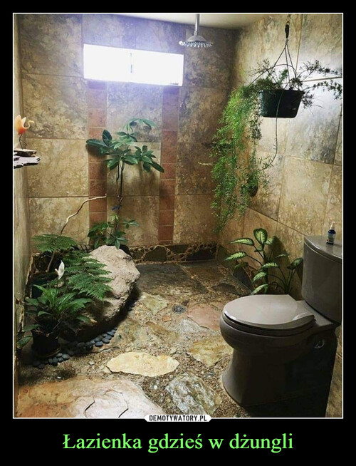 Łazienka gdzieś w dżungli