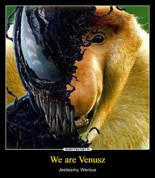 We are Venusz