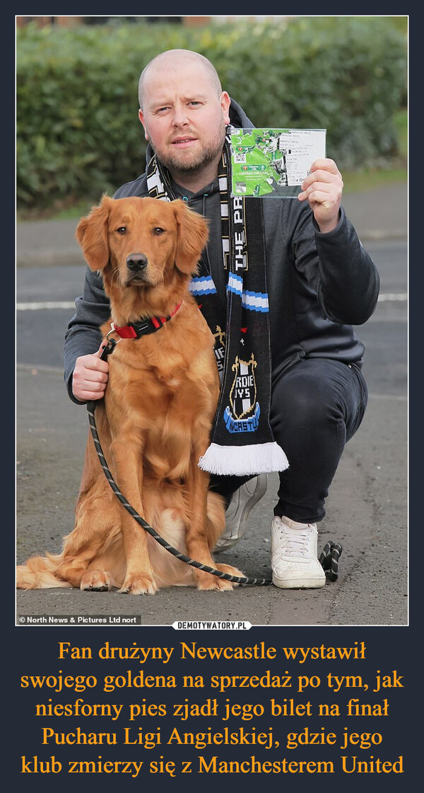 Fan drużyny Newcastle wystawił swojego goldena na sprzedaż po tym, jak niesforny pies zjadł jego bilet na finał Pucharu Ligi Angielskiej, gdzie jego klub zmierzy się z Manchesterem United