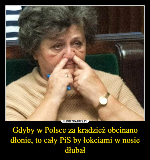 Gdyby w Polsce za kradzież obcinano dłonie, to cały PiS by łokciami w nosie dłubał