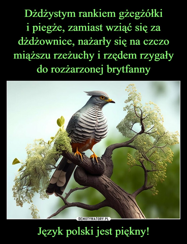 Język polski jest piękny! –  ONL