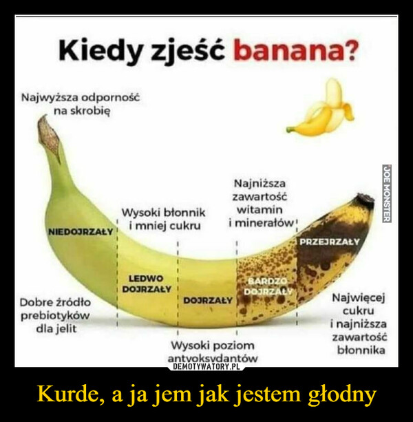 Kurde, a ja jem jak jestem głodny –  Kiedy zjeść banana?Najwyższa odpornośćna skrobięNIEDOJRZAŁYDobre źródłoprebiotykówdla jelitWysoki błonniki mniej cukruLEDWODOJRZAŁYNajniższazawartośćwitamini minerałów!DOJRZAŁYBARDZODOJRZAŁYWysoki poziomantyoksydantówPRZEJRZAŁYJOE MONSTERNajwięcejcukrui najniższazawartośćbłonnika