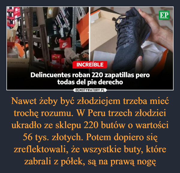 Nawet żeby być złodziejem trzeba mieć trochę rozumu. W Peru trzech złodziei ukradło ze sklepu 220 butów o wartości 56 tys. złotych. Potem dopiero się zreflektowali, że wszystkie buty, które zabrali z półek, są na prawą nogę –  INCREÍBLEDelincuentes roban 220 zapatillas perotodas del pie derechoEP