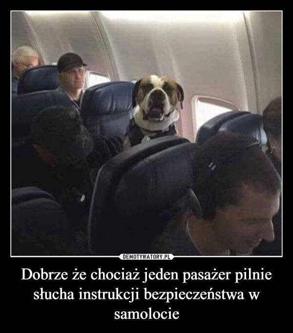 Dobrze że chociaż jeden pasażer pilnie słucha instrukcji bezpieczeństwa w samolocie –  
