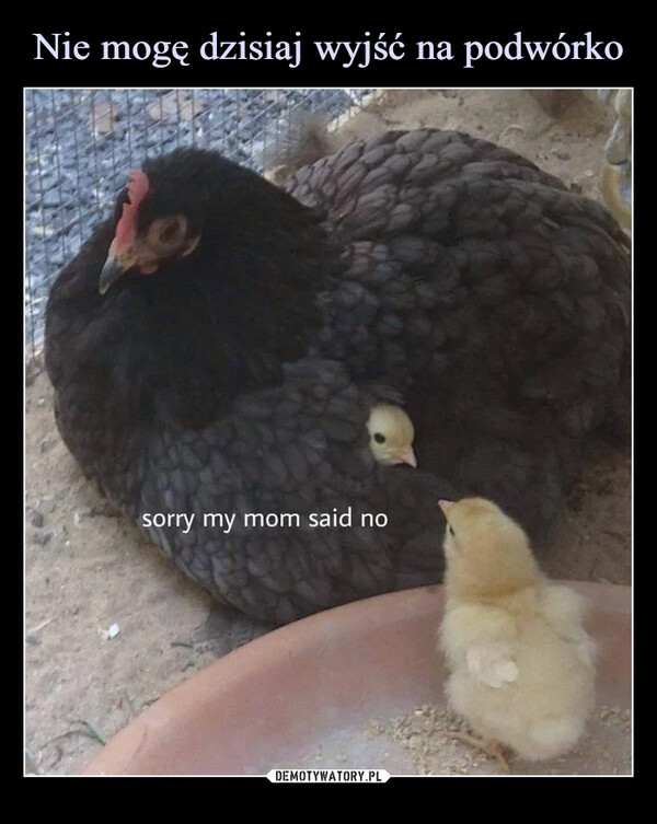  –  sorry my mom said no