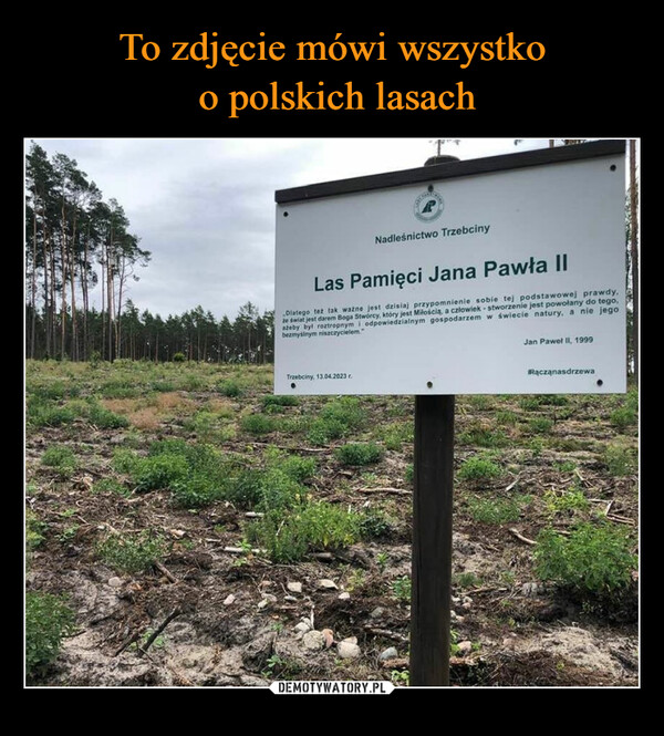To zdjęcie mówi wszystko
 o polskich lasach