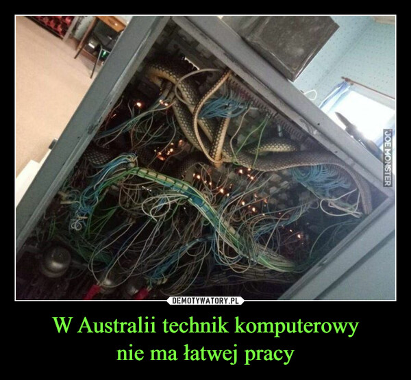 W Australii technik komputerowynie ma łatwej pracy –  mmmmJOE MONSTER