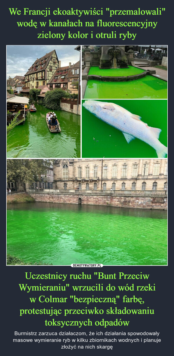 We Francji ekoaktywiści "przemalowali" wodę w kanałach na fluorescencyjny zielony kolor i otruli ryby Uczestnicy ruchu "Bunt Przeciw Wymieraniu" wrzucili do wód rzeki
w Colmar "bezpieczną" farbę,
protestując przeciwko składowaniu
toksycznych odpadów