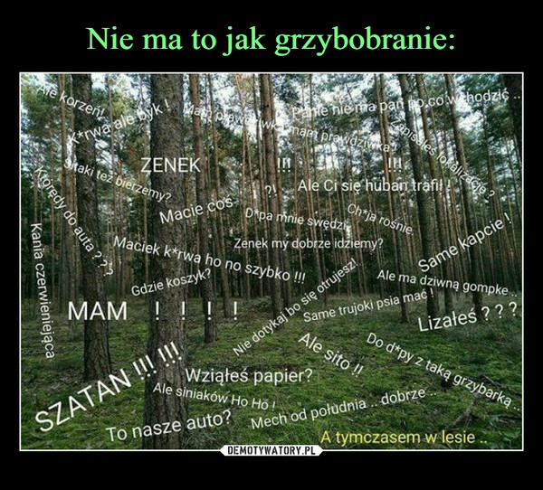 Nie ma to jak grzybobranie: