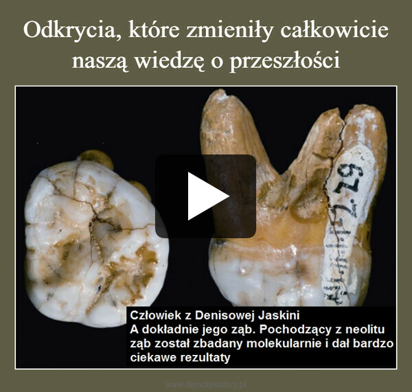  –  67 Z11Człowiek z Denisowej JaskiniA dokładnie jego ząb. Pochodzący z neolituząb został zbadany molekularne i dał bardzociekawe rezultaty