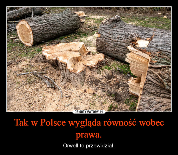 Tak w Polsce wygląda równość wobec prawa. – Orwell to przewidział. 