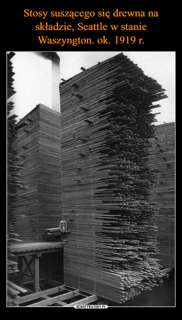 Stosy suszącego się drewna na składzie, Seattle w stanie Waszyngton. ok. 1919 r.