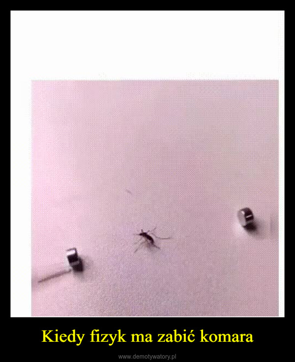Kiedy fizyk ma zabić komara –  