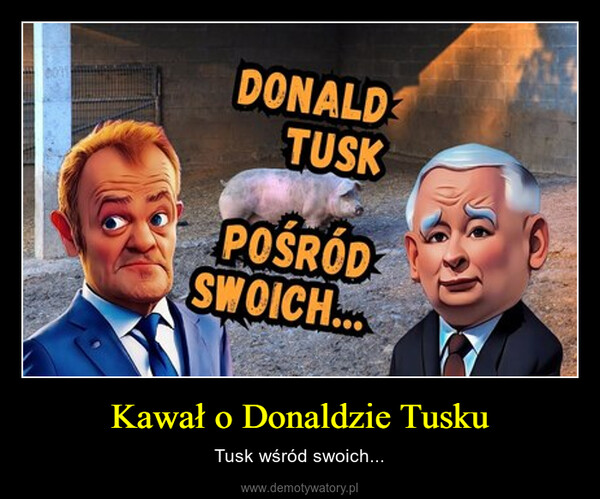 Kawał o Donaldzie Tusku – Tusk wśród swoich... DONALDTUSKPOŚRÓDSWOICH...