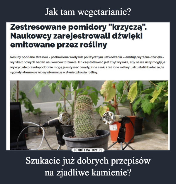 Szukacie już dobrych przepisówna zjadliwe kamienie? –  Zestresowane pomidory "krzyczą".Naukowcy zarejestrowali dźwiękiemitowane przez roślinyRośliny poddane stresowi - pozbawione wody lub po fizycznym uszkodzeniu - emitują wyraźne dźwięki -wynika z nowych badań naukowców z Izraela. Ich częstotliwość jest zbyt wysoka, aby nasze uszy mogły jewykryć, ale prawdopodobnie mogą je usłyszeć owady, inne ssaki i też inne rośliny. Jak ustalili badacze, tesygnały alarmowe niosą informacje o stanie zdrowia rośliny.247