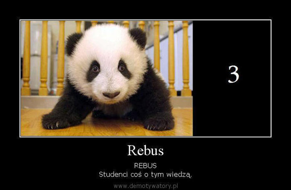 Rebus – REBUS Studenci coś o tym wiedzą. 